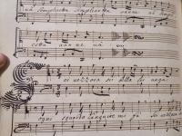 Sei vezzosa sei bella sei vaga