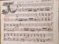 Tutto acceso d'amore