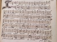 Tu ferito da miei sguardi