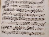 Sonata. Violino solo