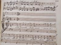 Verdi piante onde pure