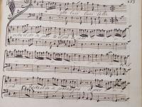 Vaghe luci luci belle