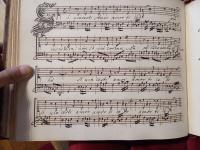 Sì vincesti amor ti cedo