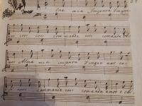 Alma mia Impara d'ingannar