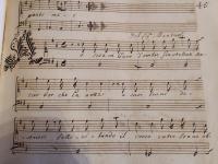 Assisa in caro d'ombre