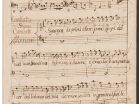 Spargea de' primi albori