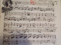 Bianca man mano d'argento