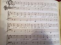 Biondi crini che stringete