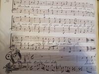 Benché rigide luci belle