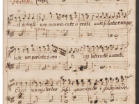 D'un disprezzato amante