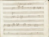 Senza un poco di rigor 1